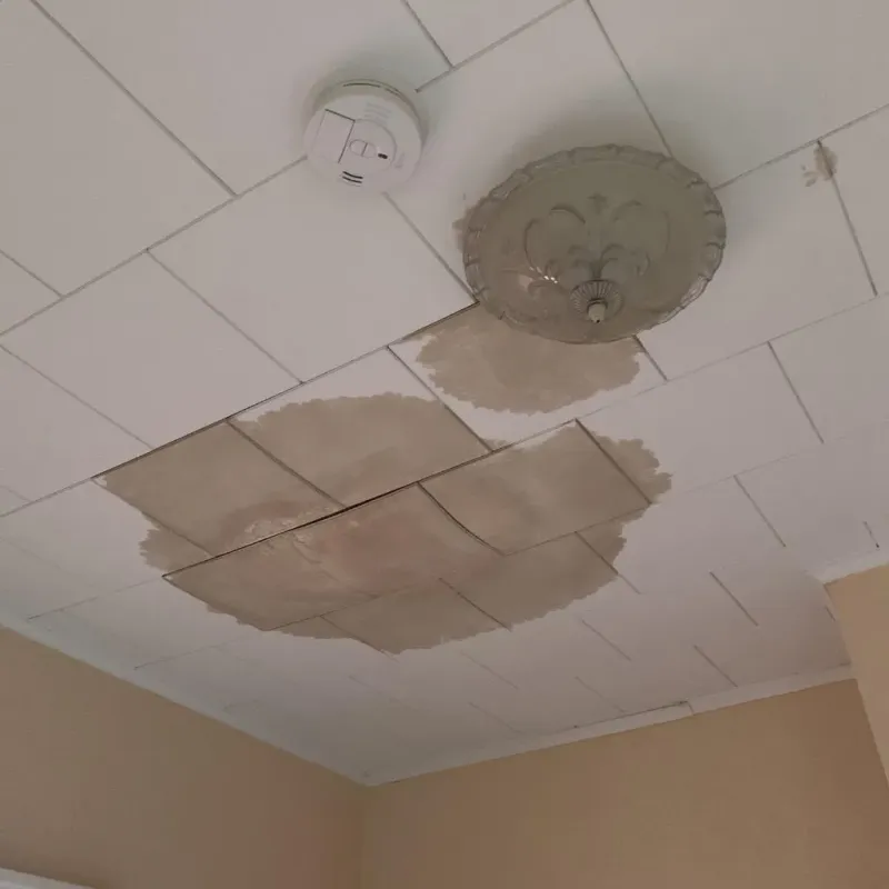 Ceiling Water Damage Repair in Goodview, MN