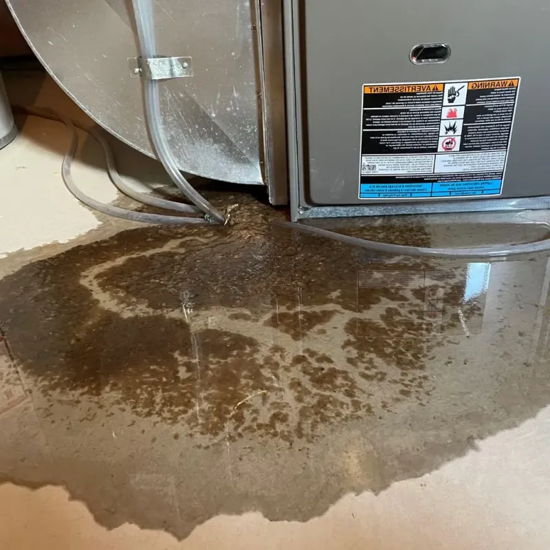 Pipe Burst and Leak Restoration in Goodview, MN