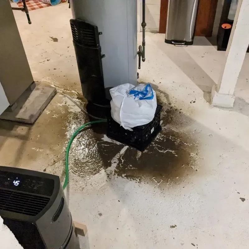 Sewage Backup Cleanup Service in Goodview, MN